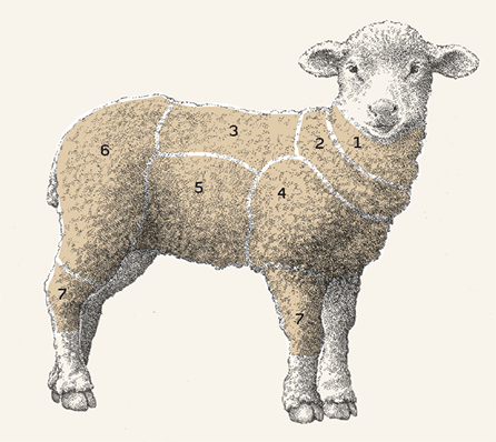 Jehněčí a kůzlečí